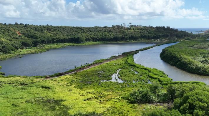 ʻĀina restoration hui on Kauaʻi expands reach with support from KS ...