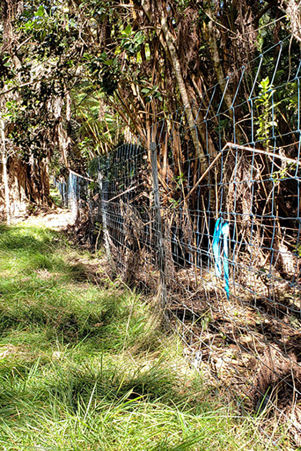 conservation fences